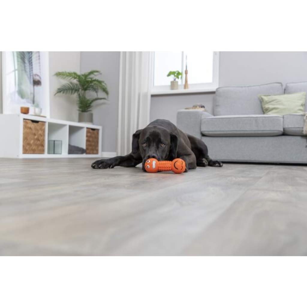 Smiley-Hantel, Latex